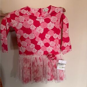 Sweet Rose Drop Dress 2T NWT
